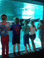 20150604_124229