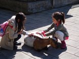 IMG_0934