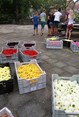 14355505_1811885002422364_7207852281532573321_n
