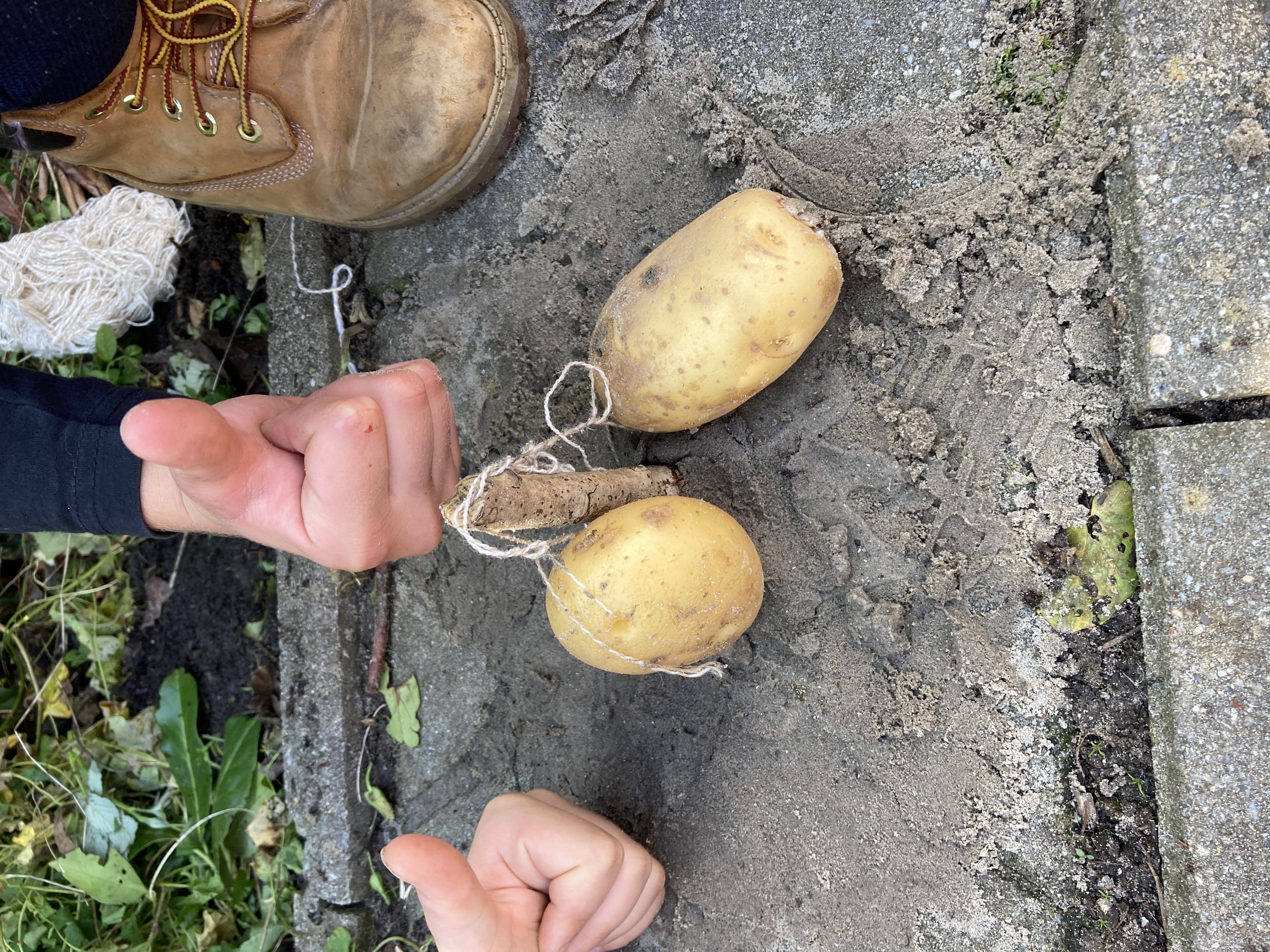 Groep 5 in de prehistorie