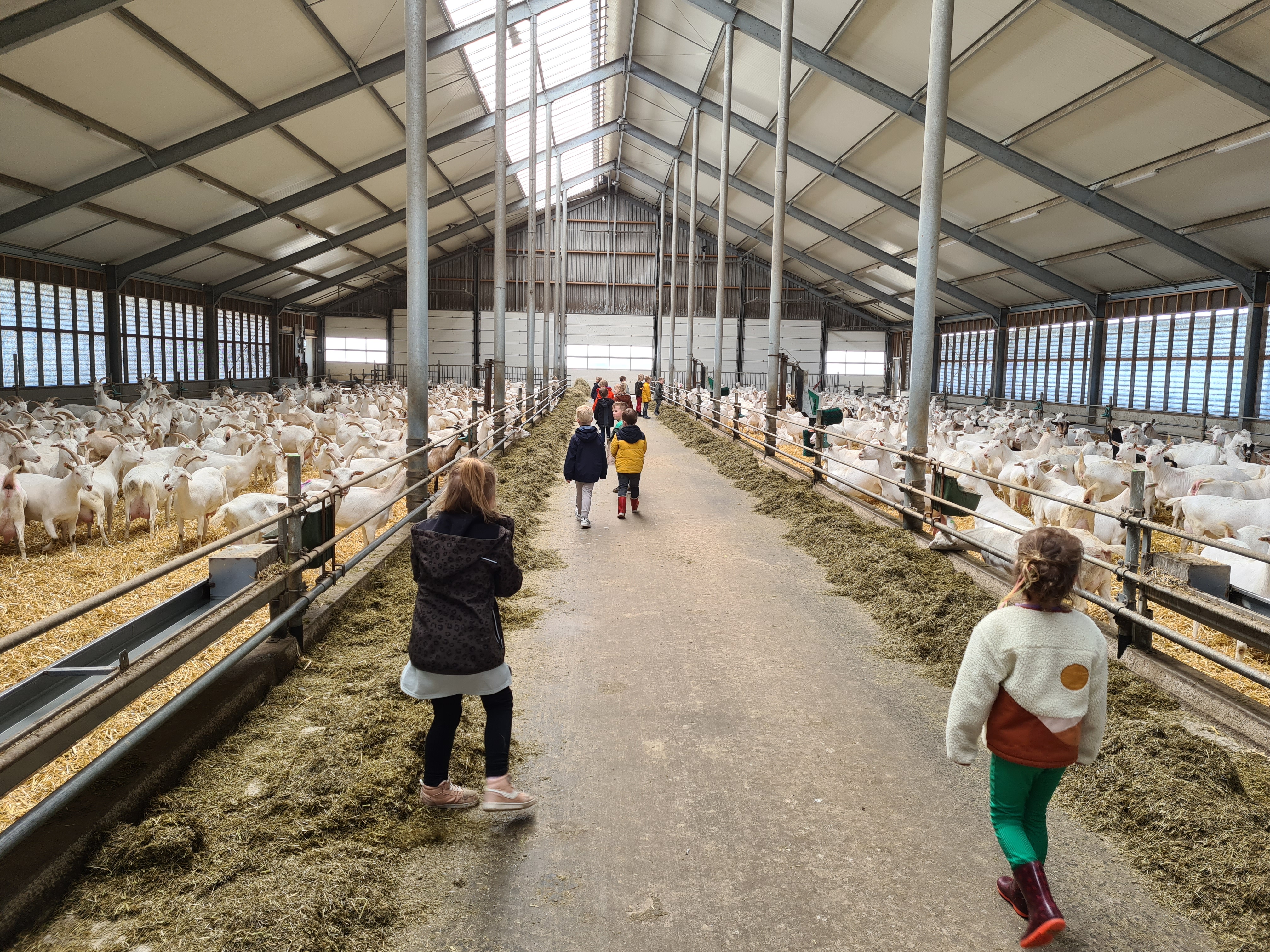 Uitje naar de geiten. Mèèèh!