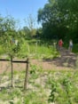 PHOTO-2026-05-26-12-35-55